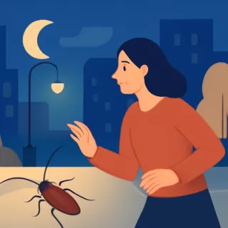 Por qué las cucarachas aparecen de noche y huyen antes de ser vistas