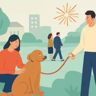 Sanidad Animal de Bariloche llama a evitar la pirotecnia para proteger a las mascotas